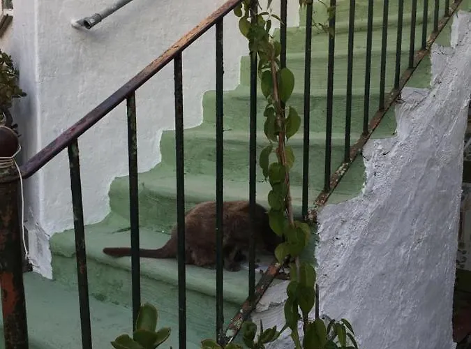 A Cas E Rosa * Forio di Ischia