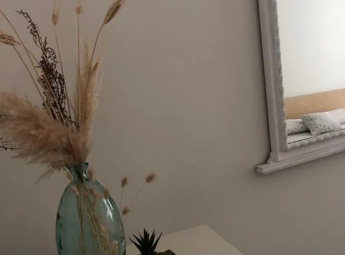 A Cas E Rosa 아파트