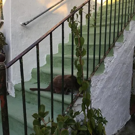 A Cas E Rosa * Forio di Ischia